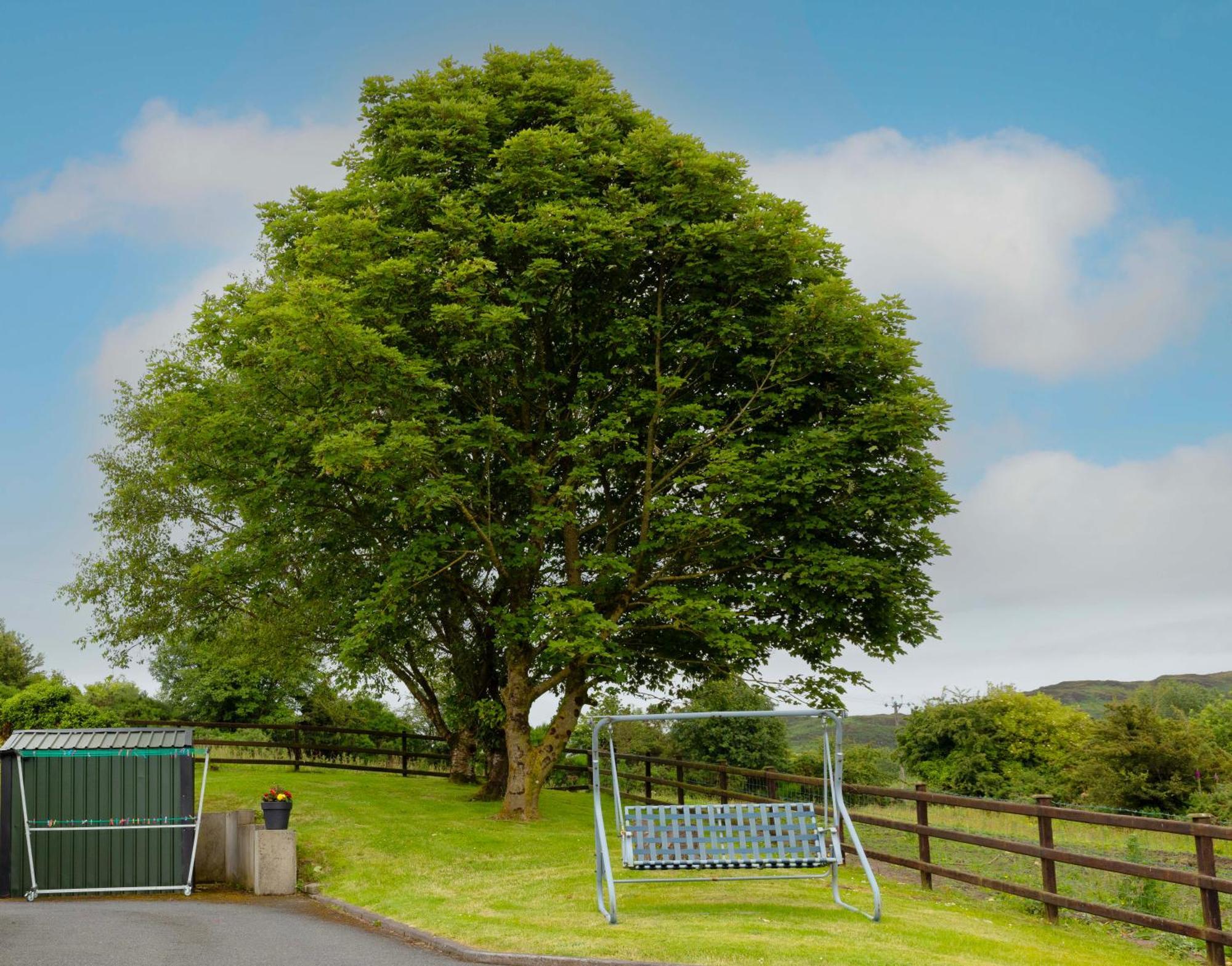 דירות Cloghoge Mountain Nest At The Foot Of Slieve Gullion מראה חיצוני תמונה